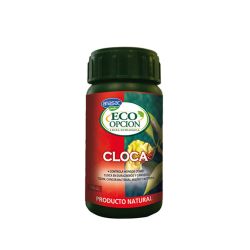 CLOCA ECO OPTION